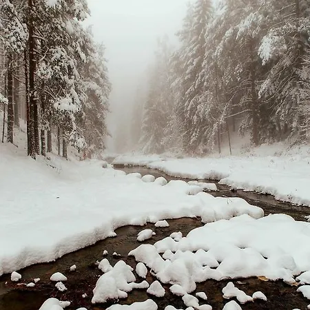 Apartmán Happy Day Divčibare