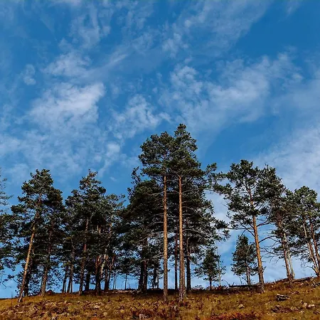 דירה Happy Day *